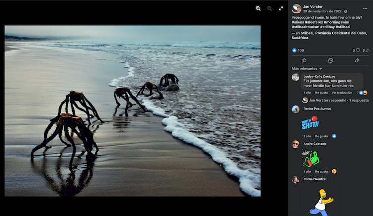 Supuestos aliens en playas de Sudáfrica