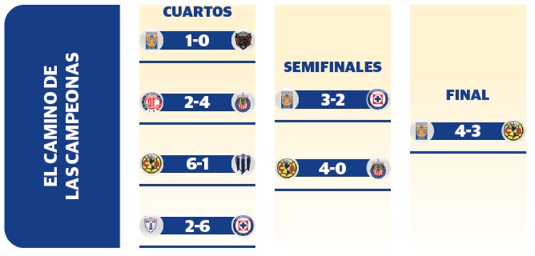 El camino de las campeonas