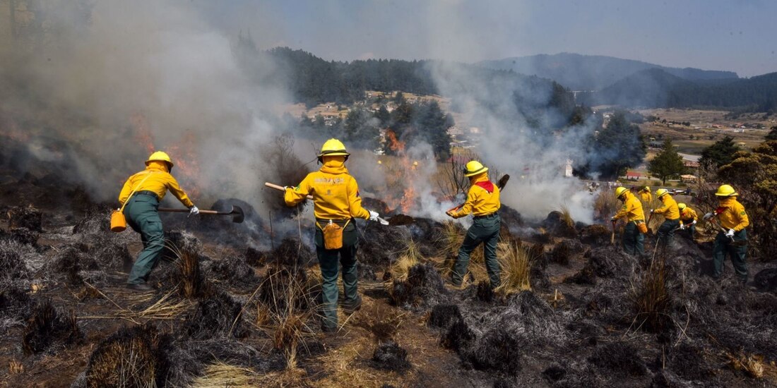 En temporada de calor es cuando más incendios forestales se registran en México.