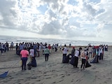 Estudiantes y maestros participan en la limpieza de las playas