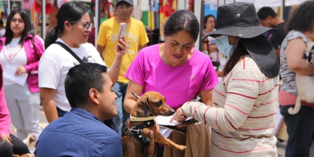 Animal Fest ofreció esterilizaciones y productos para las mascotas.