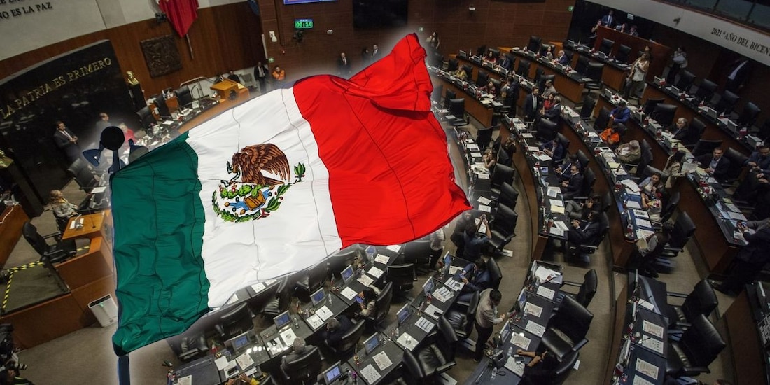 Reforma de nacionalidad única para cargos del Ejecutivo fue declarada constitucional en el Senado.