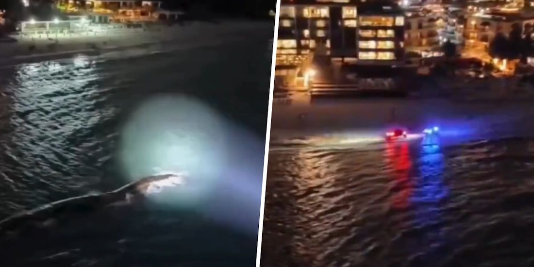 Autoridades desplegaron operativo para encontrar a joven que desapareció al entrar al mar en Playa Mamitas, en Playa del Carmen, Quintana Roo.