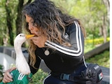 El pato sigue enamorando por todos lados