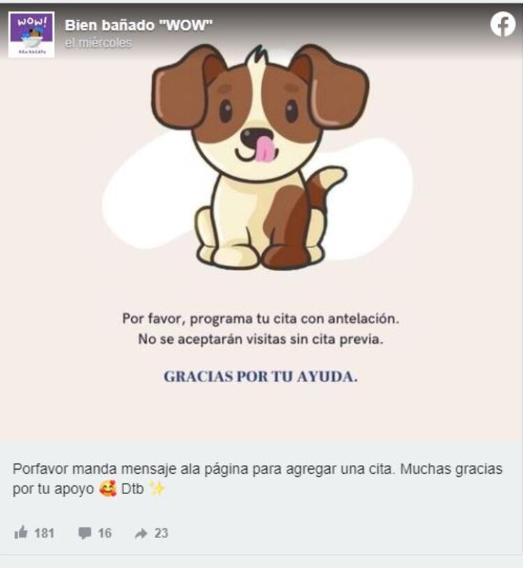 Niño baña a perritos por 60 pesos.