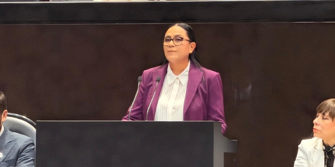 Ariadna Montiel, secretaria de Bienestar, comparece ante diputados.