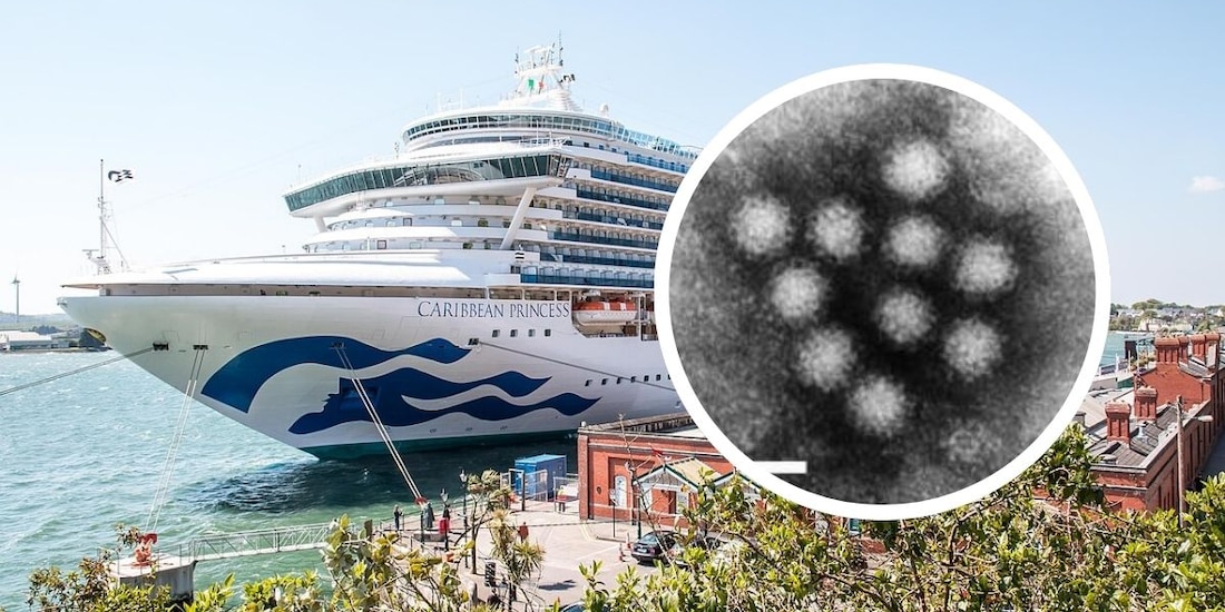 Esto se sabe del norovirus, enfermedad que provocó brote en crucero Caribbean Princess.