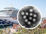 Esto se sabe del norovirus, enfermedad que provocó brote en crucero Caribbean Princess.