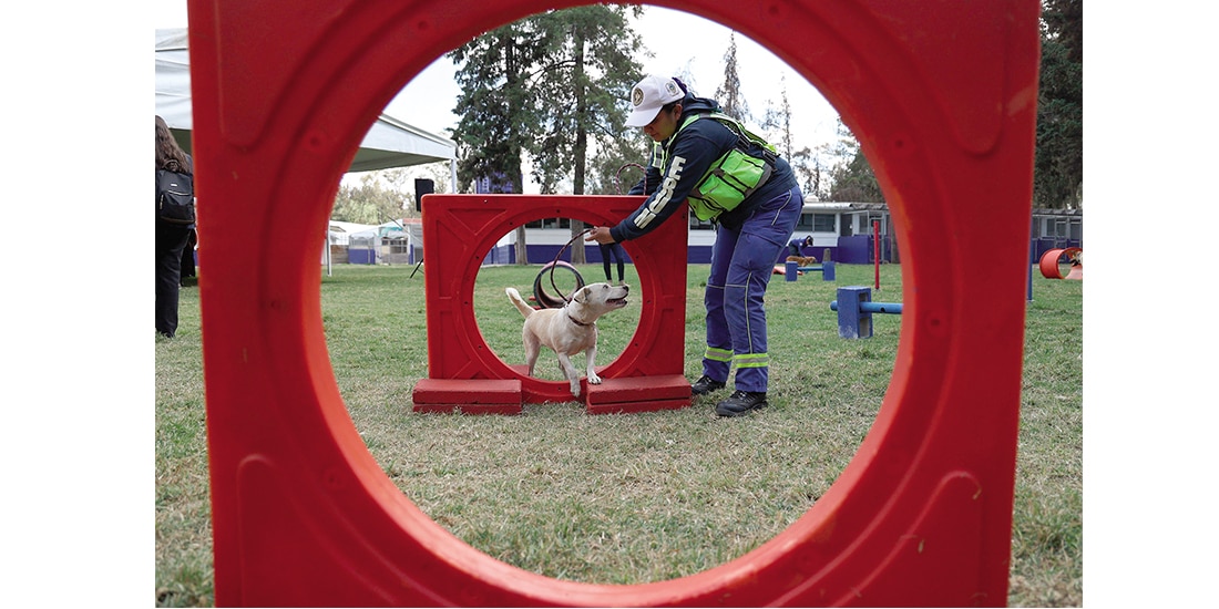 Integrante de la Brigada de Vigilancia Animal convive con un perro, en enero.