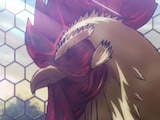 Rooster Fighter, el anime del que todo mundo habla.