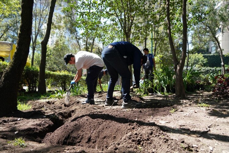 Infractores cívicos limpian el Parque Reforma Social como parte de su sanción por faltas al Reglamento de Tránsito.