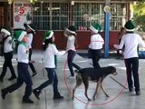 Perrito se cuela en festival navideño de escuela y se roba el show (VIDEO)