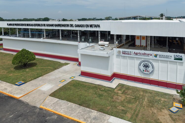 Autoridades sanitarias y especialistas supervisan la tecnología de vanguardia implementada en la frontera sur para el control de plagas ganaderas.