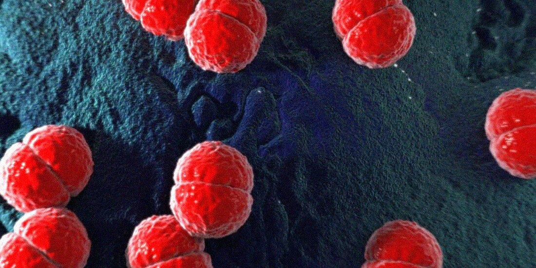 Alerta en México y EU por meningitis