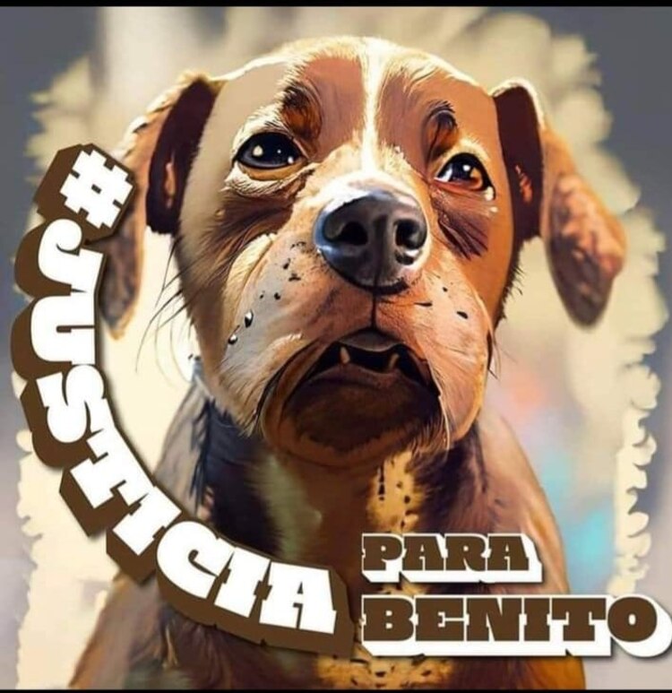 Ilustración que exige justicia para Benito, el "lomito" que fue arrojado a un cazo de aceite hirviendo.