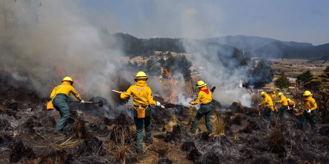 La capital, segundo lugar en incendios forestales.
