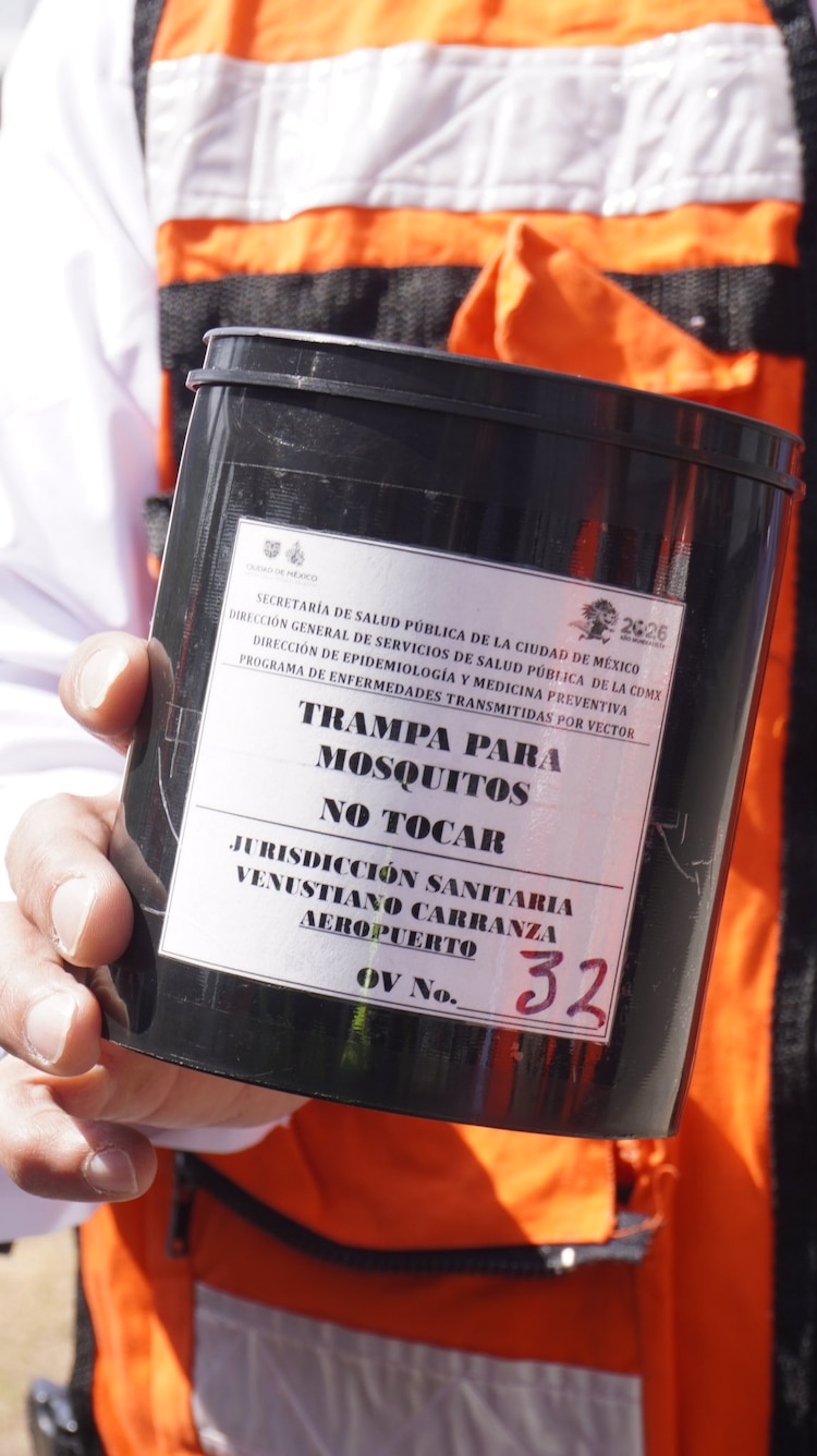 Monitoreo de mosquitos en el AICM