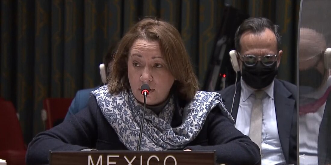Alicia Buenrostro Massieu, representante de México ante la ONU.