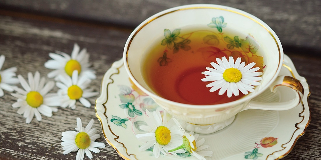 Infusiones como manzanilla y hierbabuena se usan para aliviar malestares digestivos.