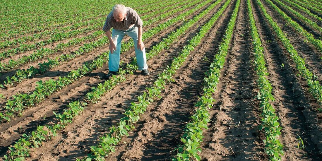 Superávit del sector agro