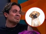 Ricardo Peralta asqueado ¿por un perrito?