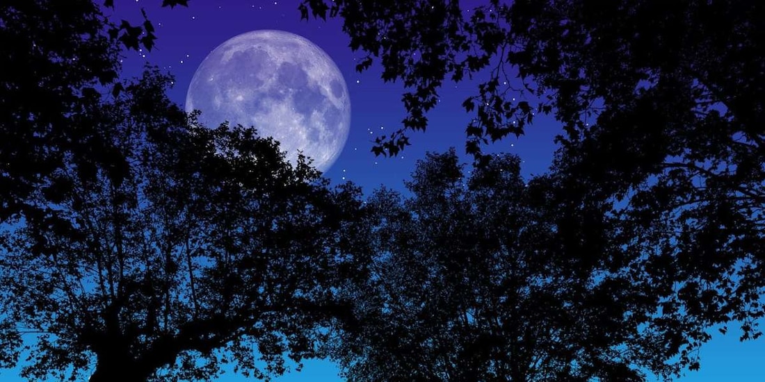 La luna llena en Escorpio es una de las más abundantes en el año