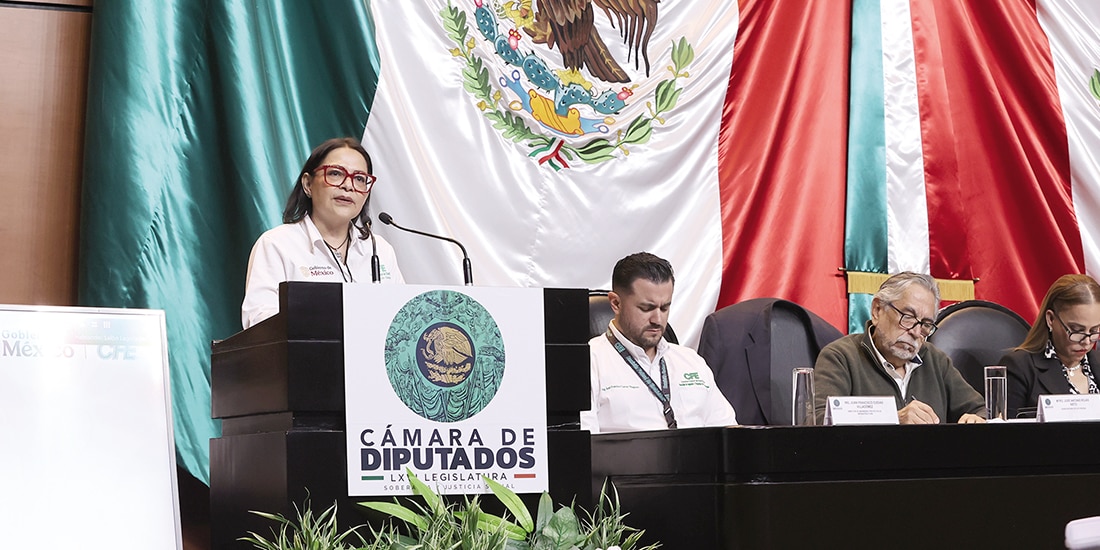 La funcionaria federal, ayer, al comparecer en San Lázaro.