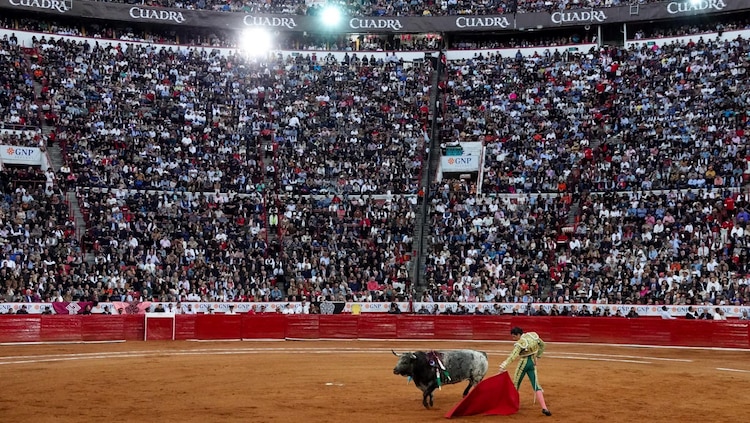 La PAOT celebra la postura de la jefa de Gobierno, Clara Brugada Molina, de eliminar la violencia en las corridas de toros.