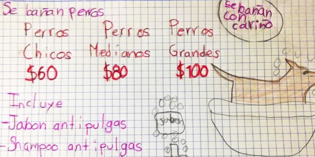 El niño, que busca ahorrar para pagar sus estudios de veterinario, promociona sus servicios para perritos con un letrero hecho por él.