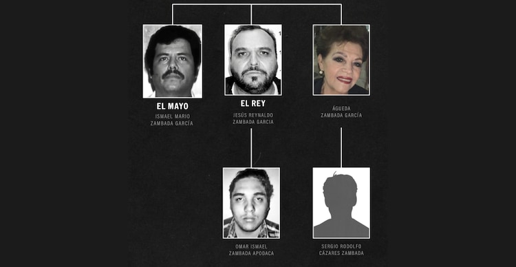 Árbol genealógico de los Zambada