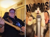 Un gatito canta Crazy Train de Ozzy Osbourne y se vuelve viral en TikTok.