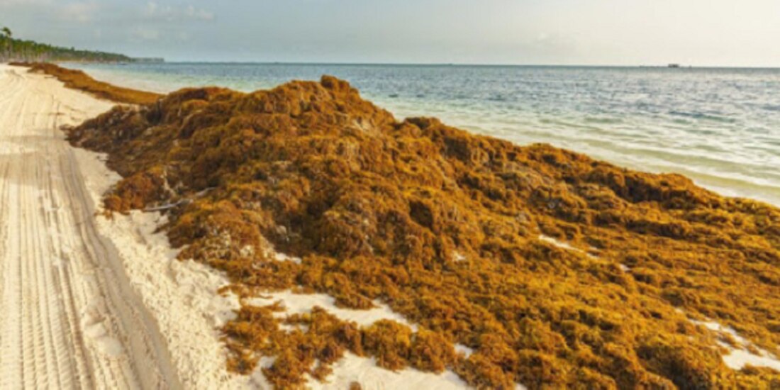 Playas del sureste mexicano.