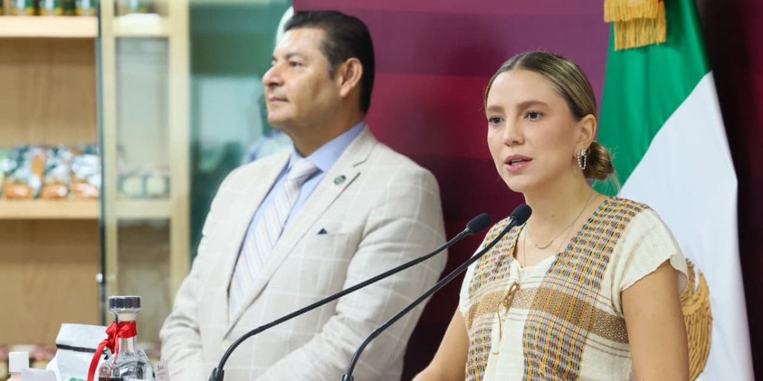 El plan de ampliación para duplicar la capacidad de atención a pasajeros se ejecutará en el Aeropuerto Internacional Hermanos Serdán.