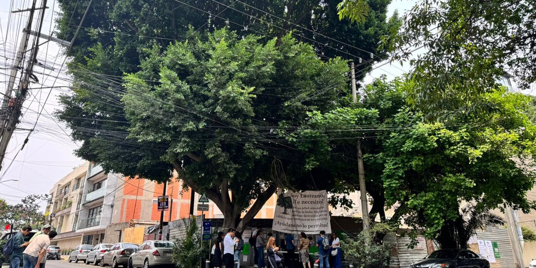 Patrimonio Natural de la capital.