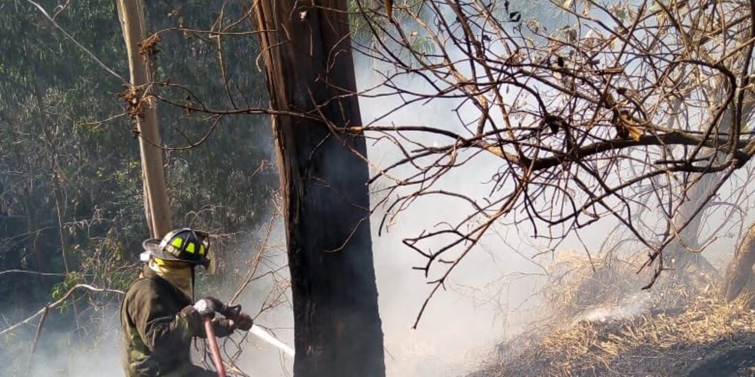 Incendio en Bosque de Chapultepec está siendo atendido por los bomberos de la Ciudad de México
