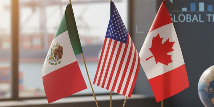 T-MEC sirvió como "escudo" en 2025, apunta OCDE.