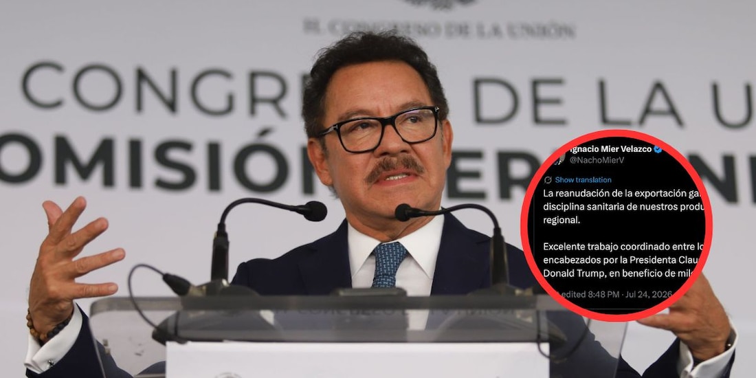 Ignacio Mier Velazco, coordinador de Morena en el Senad