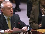 El representante de México ante la ONU, Héctor Vasconcelos, ayer.
