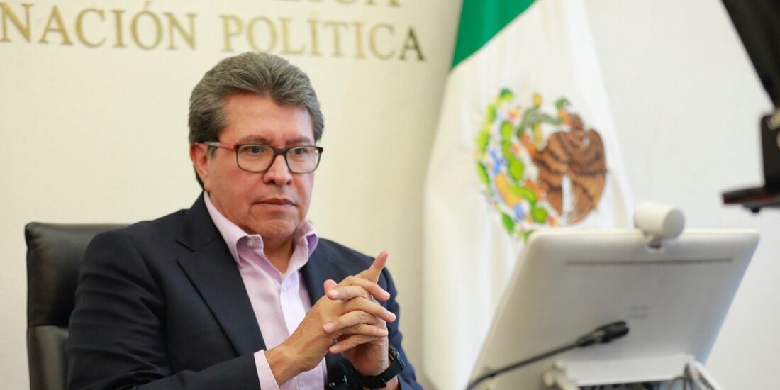 El coordinador de Morena en la Cámara de Senadores.