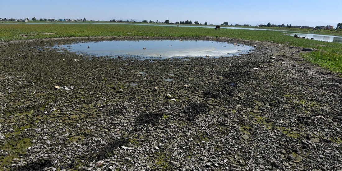 La Laguna Palmillas ubicada en la zona norte de Toluca sufre los estragos de la falta de lluvias