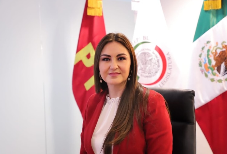 La vicecoordinadora del PT, Geovanna Bañuelos de la Torre.