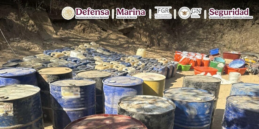 Material localizado en los laboratorios clandestinos.