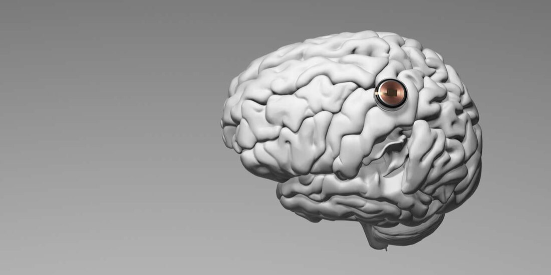 El estudio tiene como objetivo ayudar a personas parapléjicas.