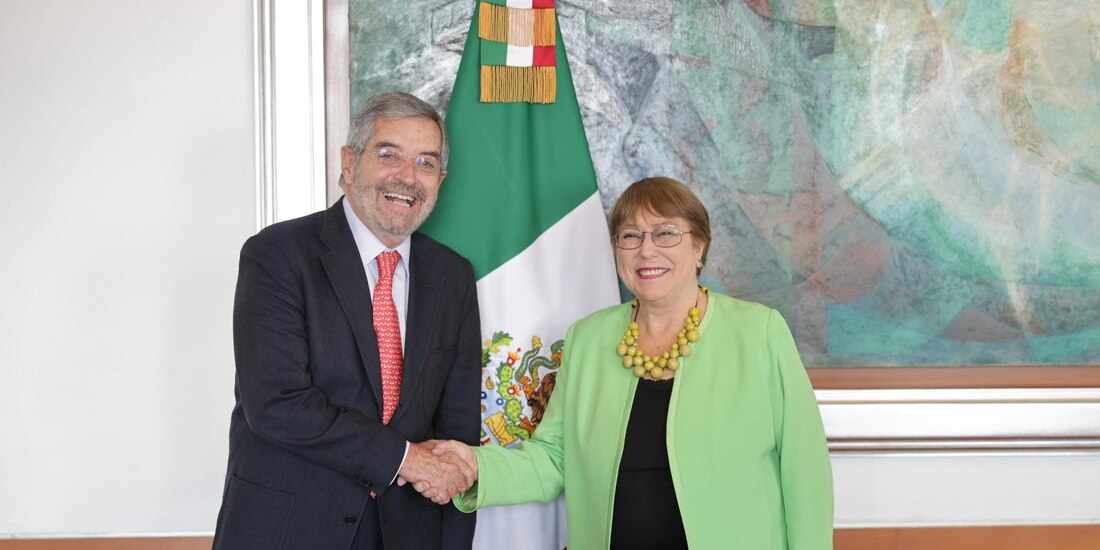 Juan Ramón de la Fuente se reunió con la expresidenta de Chile,