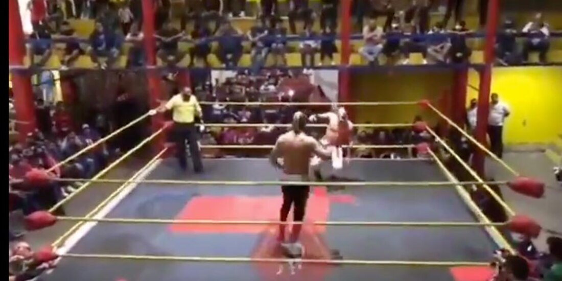 Príncipe Aéreo se encontraba dando función en el Estado de México.