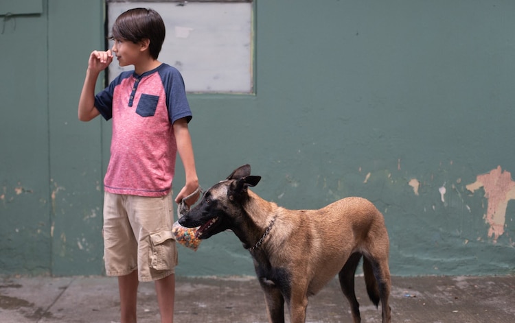 La película está disponible en 16 ciudades del país, incluyendo Guadalajara, CDMX y Ensenada; se
espera que se extienda a
ocho urbes más