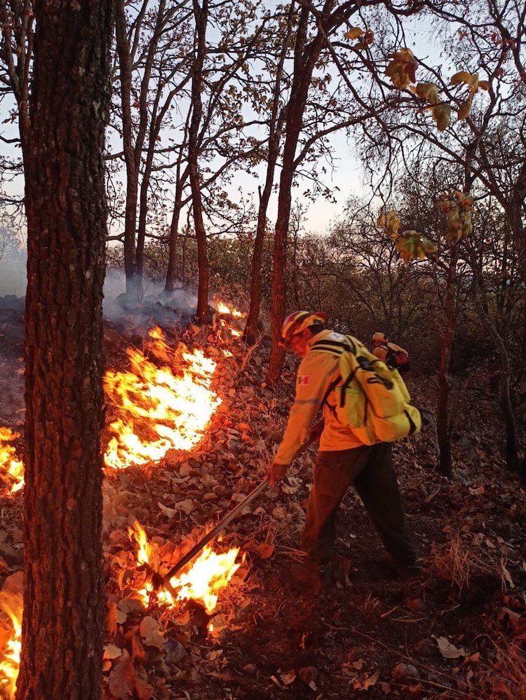 En Jalisco los incendios forestales también se han hecho presentes.