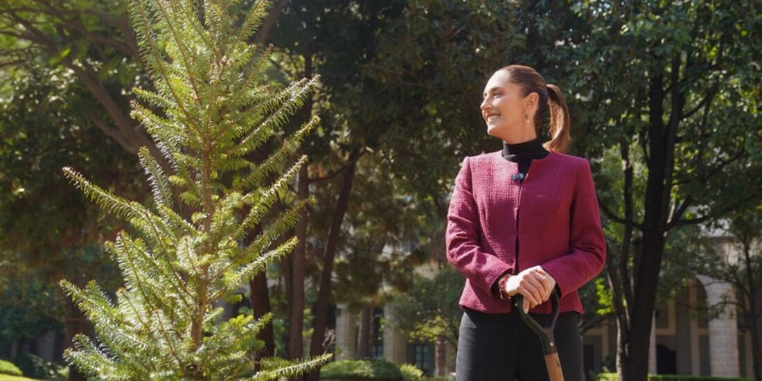 La Presidenta Claudia Sheinbaum envió un mensaje con motivo del fin de año.