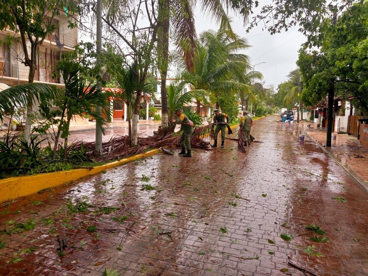 Los soldados también apoyaron en el retiro de árboles derribados por el viento.