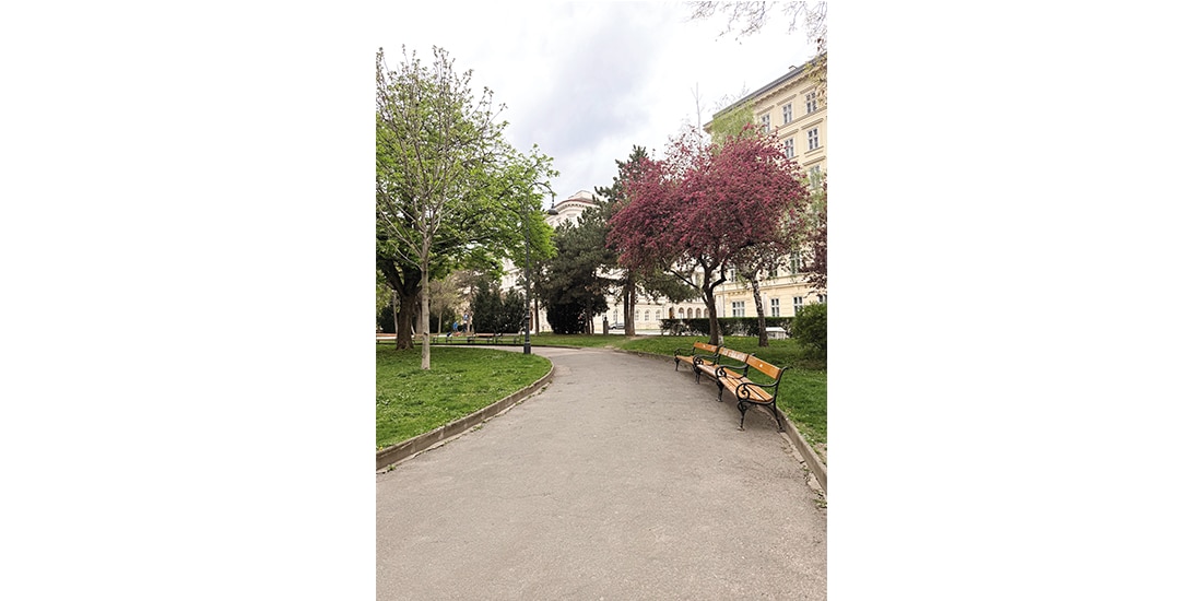 En busca del inconsciente perdido